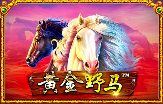 亚美体育app入口下载